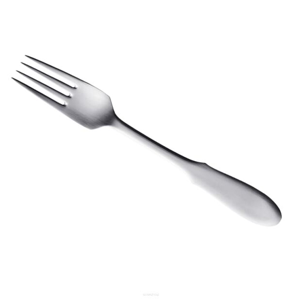 Fork - main course