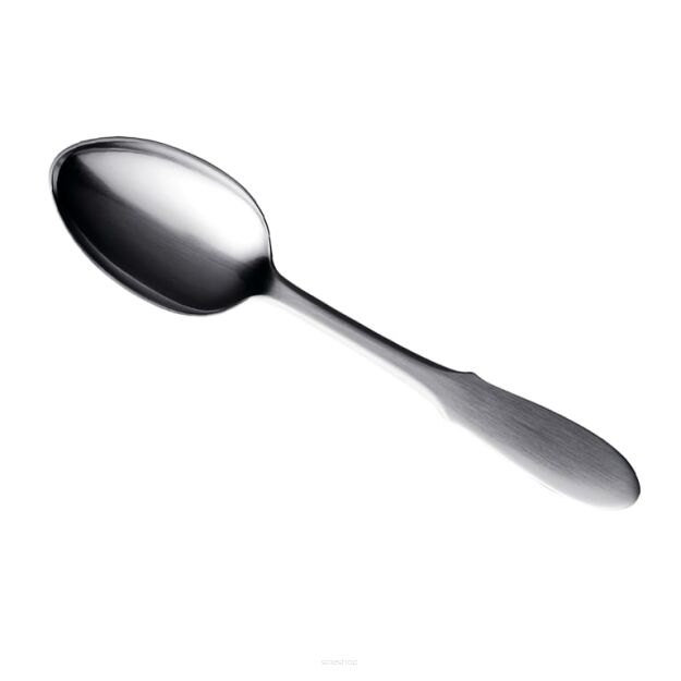 Large spoon